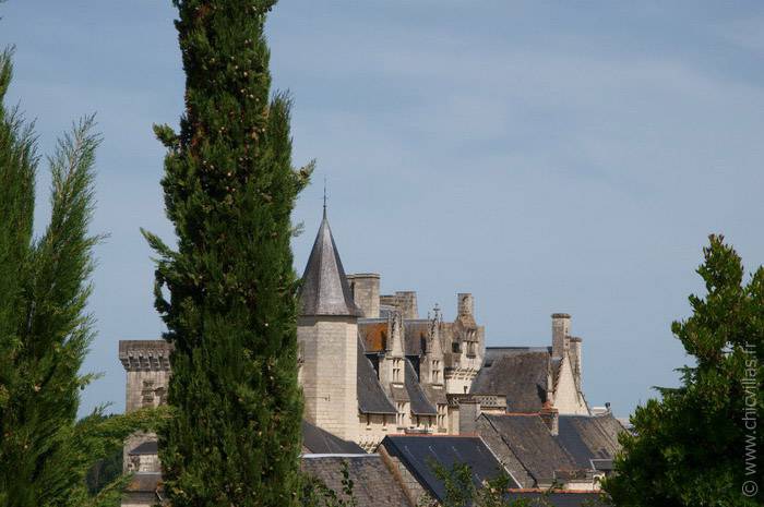 De Val en Vins - Location villa de luxe - Vallee de la Loire - ChicVillas - 18